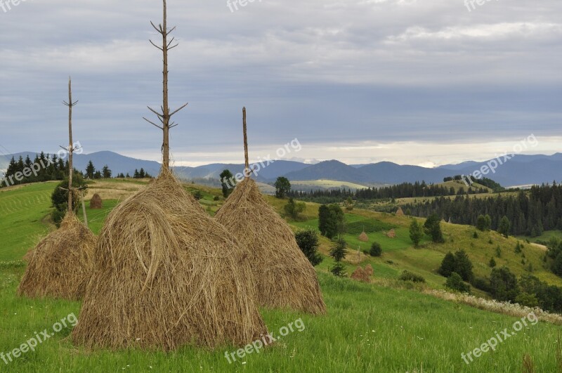 Hay Summer The Carpathians Straw In The Summer Of