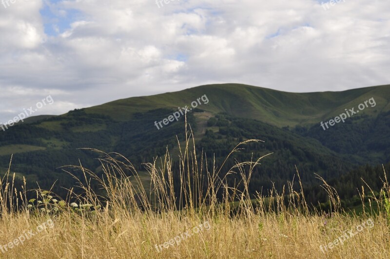 The Carpathians Meadow Grass Mountains Landscape