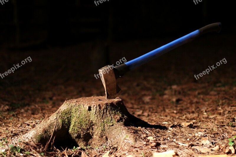 Tree Stump Axe Wood Night Equipment