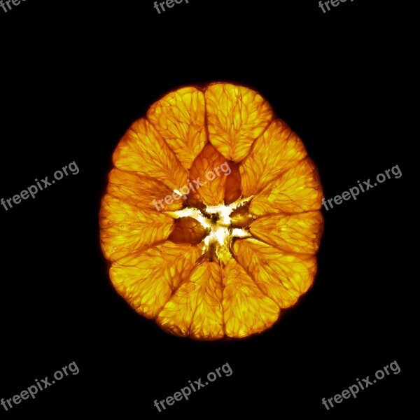 Orange Cross Section Fruit Vitamins Oranges