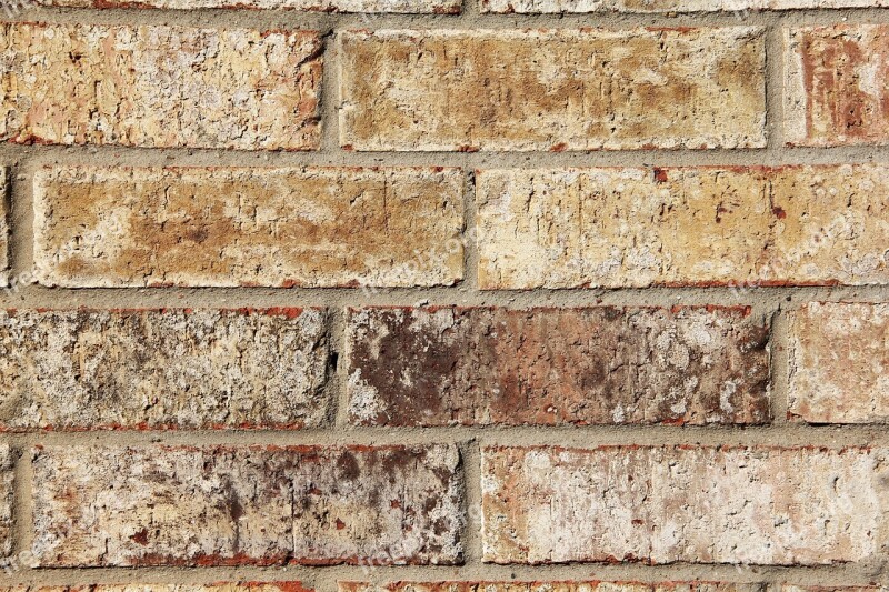 Bricks Beige Brown Wall Brick