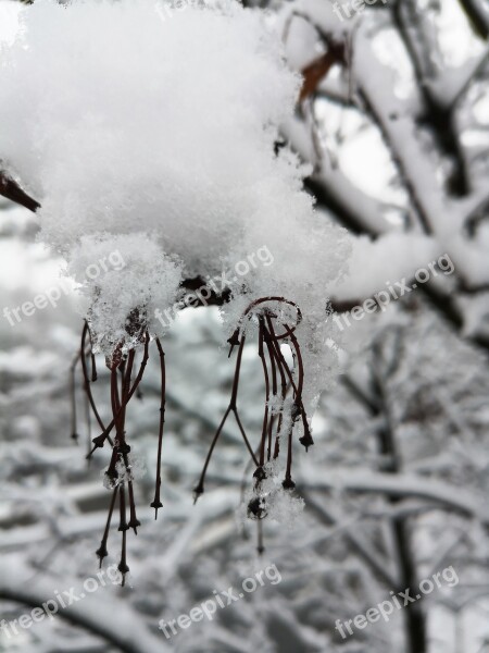 Winter Snow Snowden Cold White