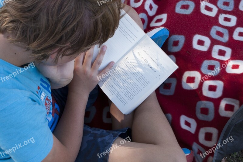 Reading Picnic Summer Park Outdoors