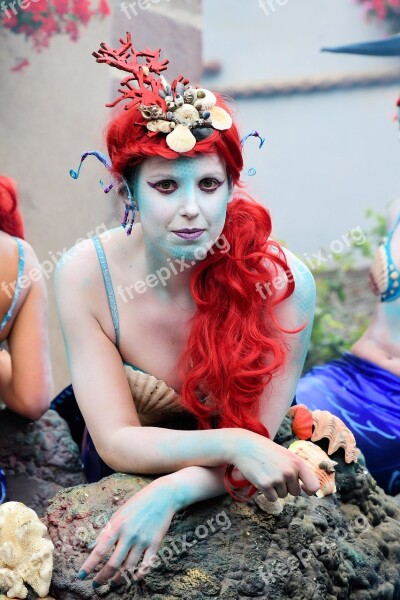 Festival Mermaid Disguise Rousse Free Photos