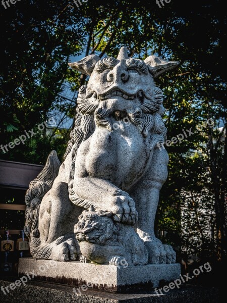 Guardian Dogs Stone Statues Shrine Japan Sculpture