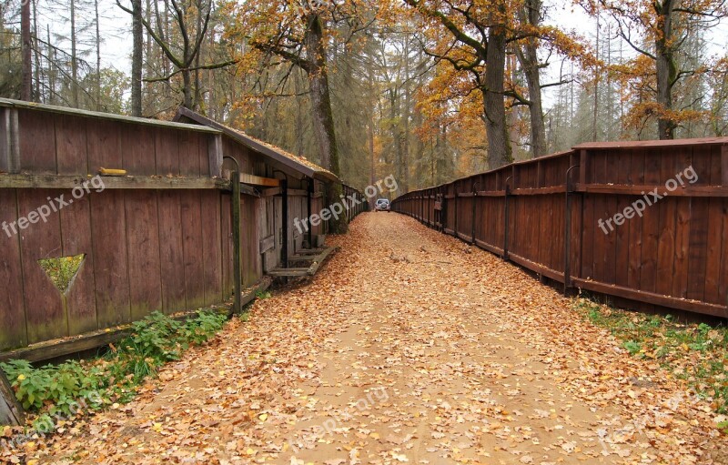 The Fence Auto Car Fencing Way