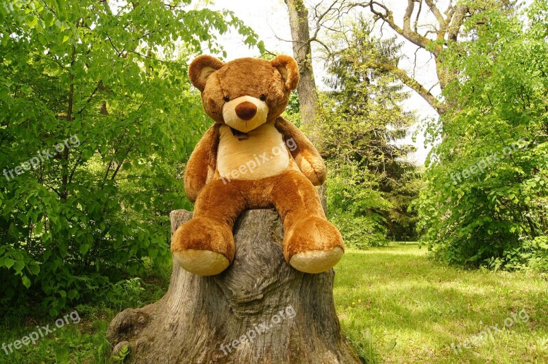 Teddy Bear Plush Nature Toy The Bear