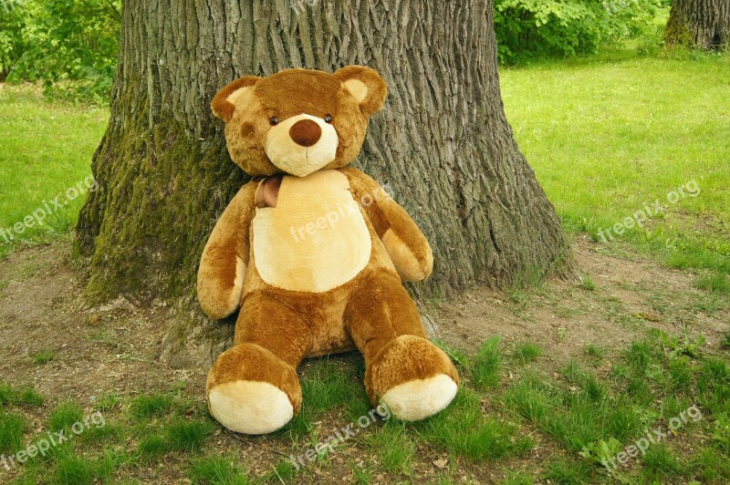 Teddy Bear Plush Nature Toy The Bear