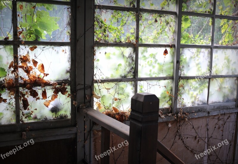 Ruins Windows Old Windows Building Free Photos