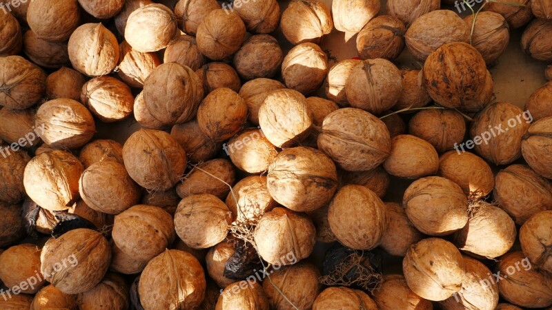 Nuts Walnuts Food Healthy Vegetarian