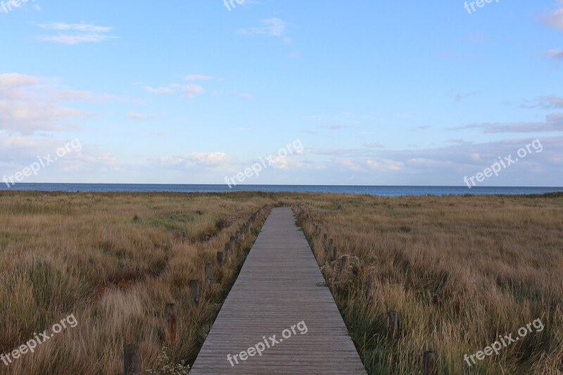 Sylt Kampen Dune Landscape Web The Wadden Sea In The Background