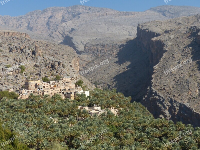 Outdoor Village Palm Grove Oman Landscape