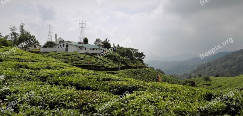 Munnar Kerala In India Landscape