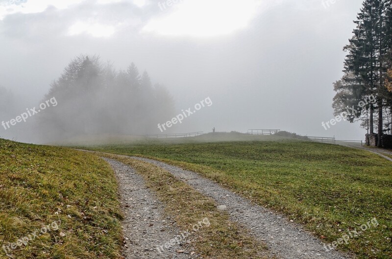 Fog Landscape Trees Haze Hill