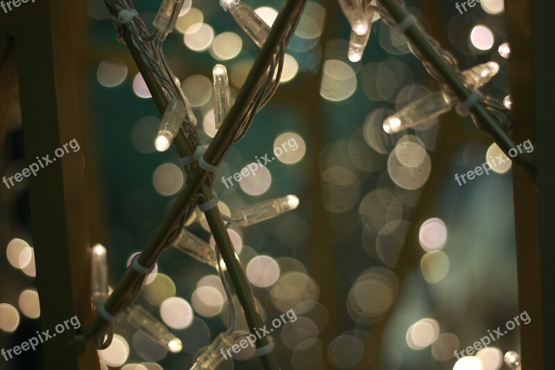 Fairy Lights Bright Light Magic Mysterious