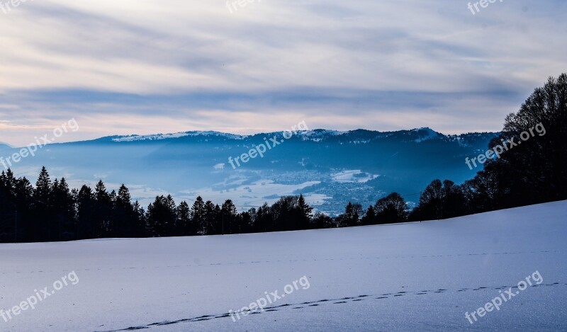 Landscape Winter Snow Forest Trees