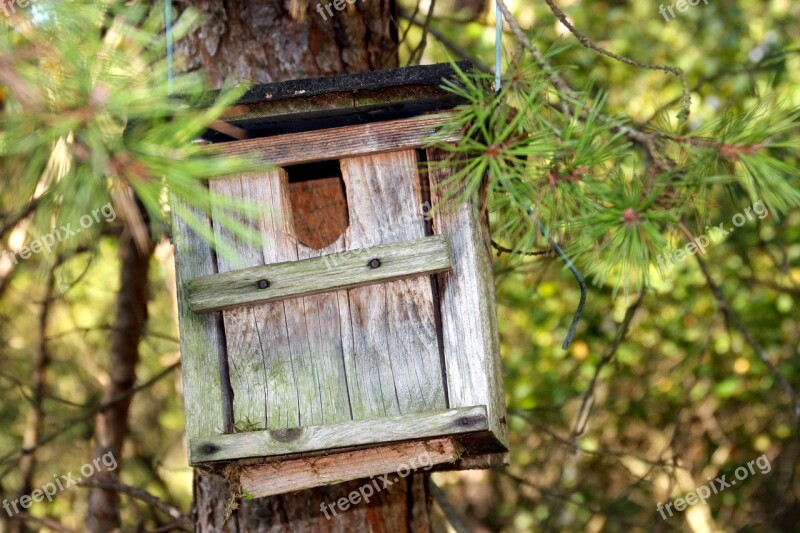 Aviary Incubator Nesting Box Nesting Place Einflugloch