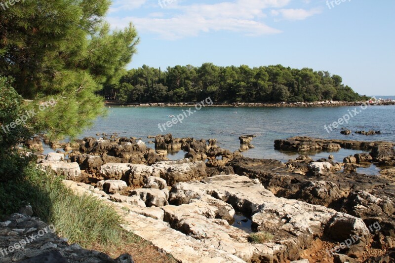 Coast Sea Beach Water Nature