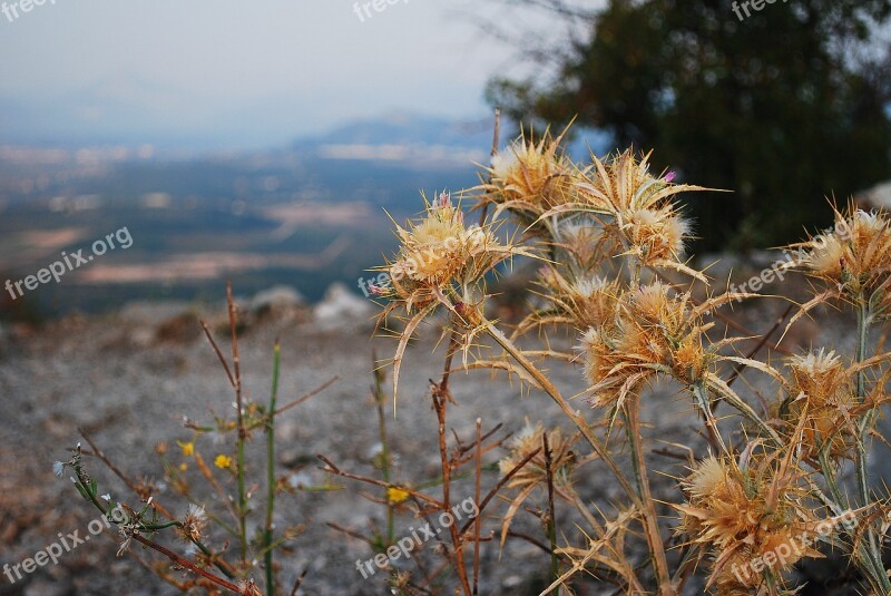 Mountains Rocks Plants Bosnia View