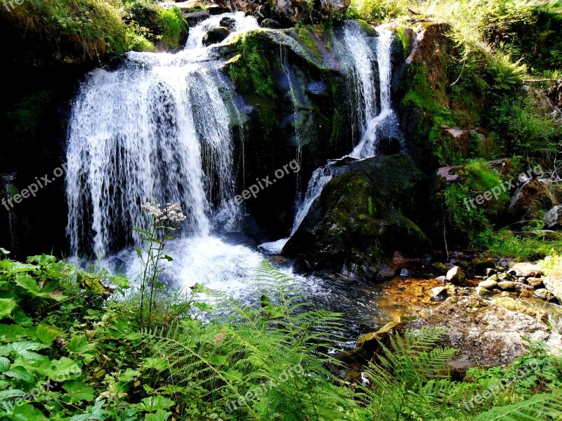 Trier Waterfall Summer Section Free Photos