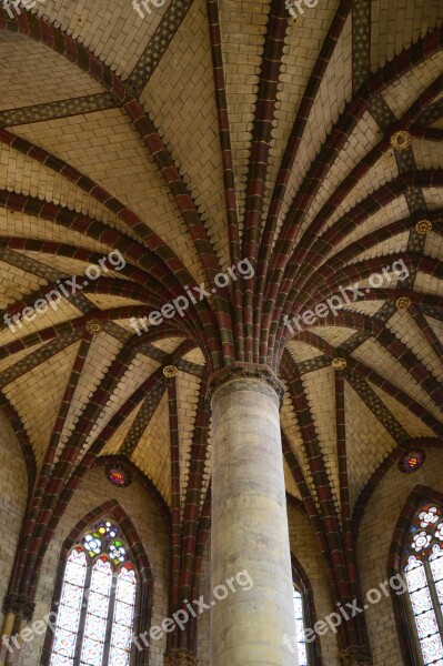 Toulouse Palm Architecture Church Visit