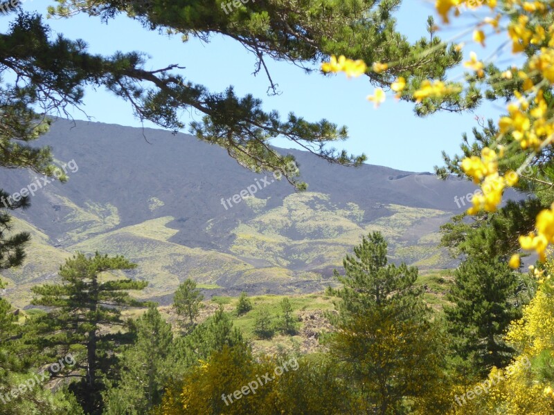 Etna Mountain Volcano Forest Summer