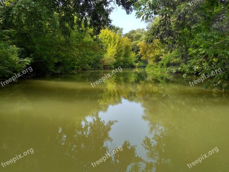 Hungary Lake Tisza Swamp Lake Nature