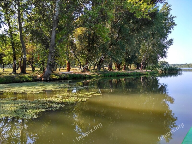 Hungary Lake Tisza Swamp Lake Nature