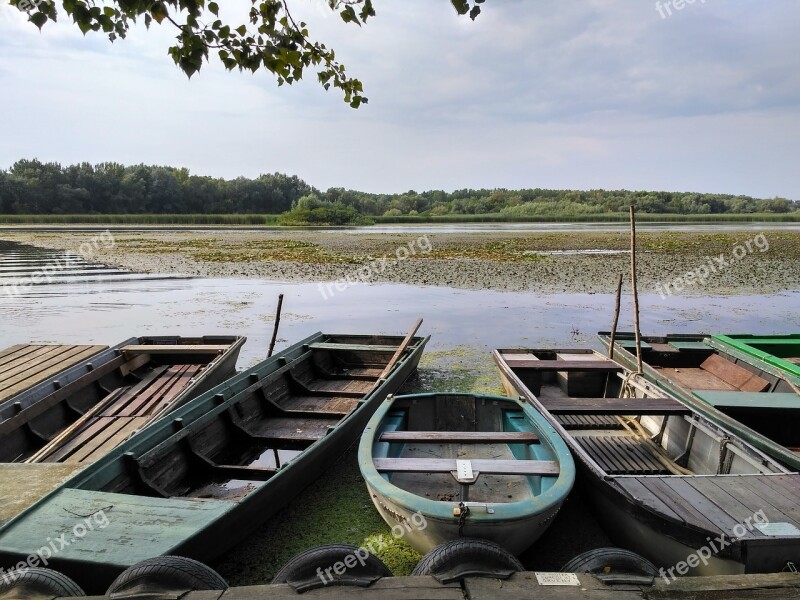 Hungary Lake Tisza Swamp Lake Nature