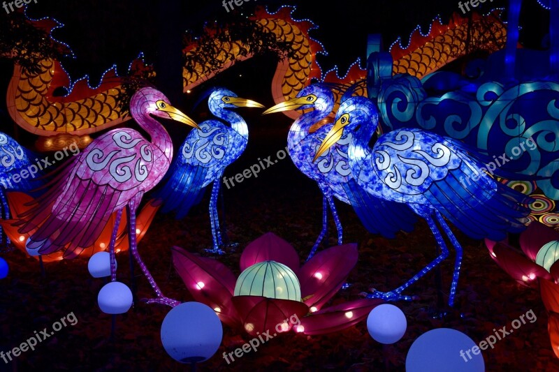 Chinese Lanterns Night Lantern Light Asian