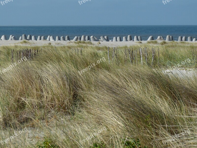 Hörnum Sylt Island Landscape Nature