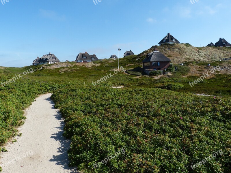 Hörnum Sylt Island Landscape Nature