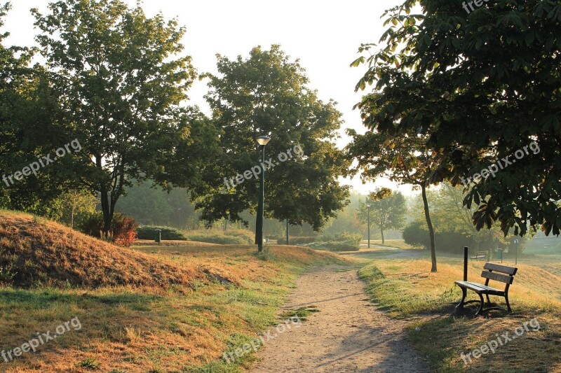 Morning Park Tree The Path Bench