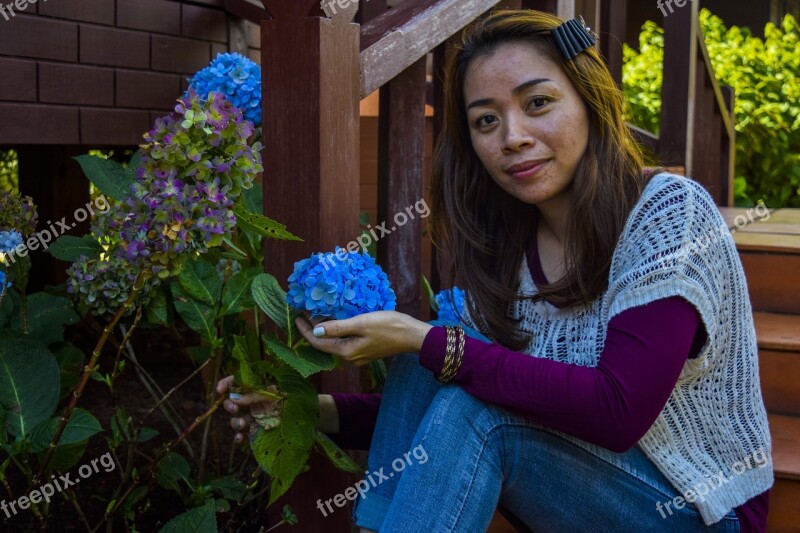 Flower Nature Mondulkiri Bloom Blossom