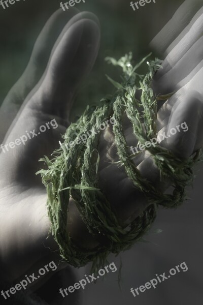 Hand Green String Rope Fine Art