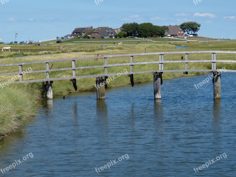 Hallig Hooge Terp Friesland North Sea