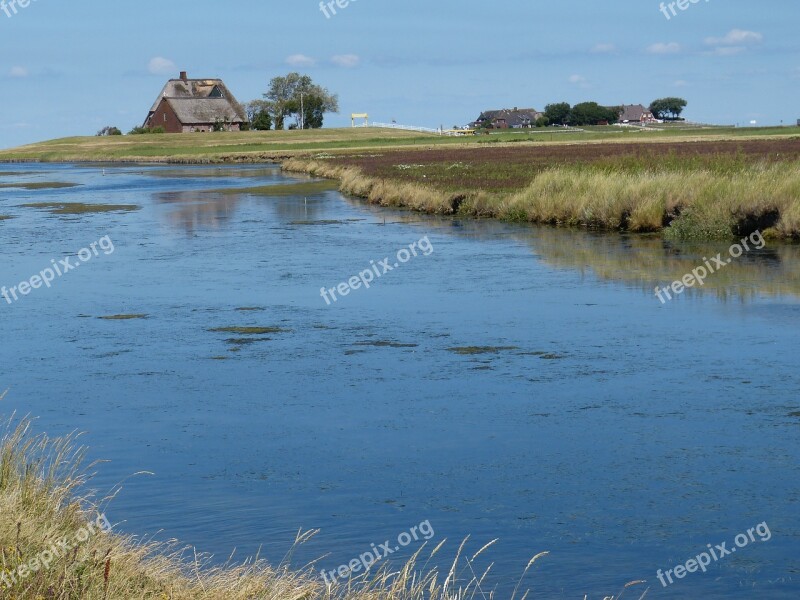 Hallig Hooge Terp Friesland North Sea