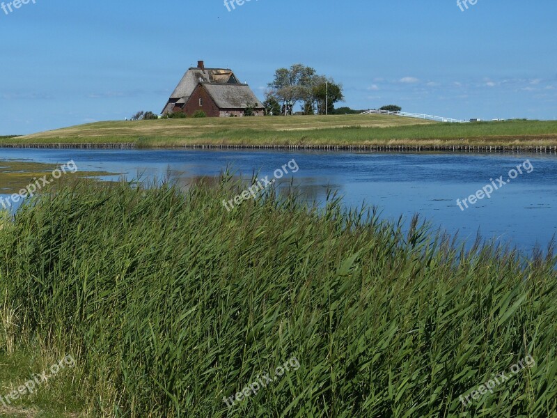 Hallig Hooge Terp Friesland North Sea