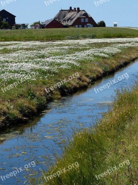 Hallig Hooge Terp Friesland North Sea