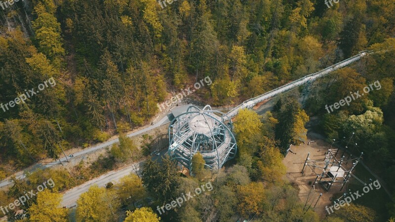 Treetop Path Bad Harzburg Resin Lower Saxony Autumn