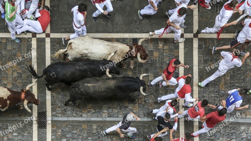 Sanfermín Sanfermines Vivasanfermin Gorasanfermin Sanferminfestival