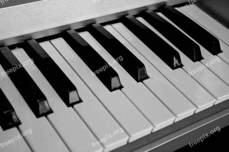 Music Keys Keyboard Black And White Tool