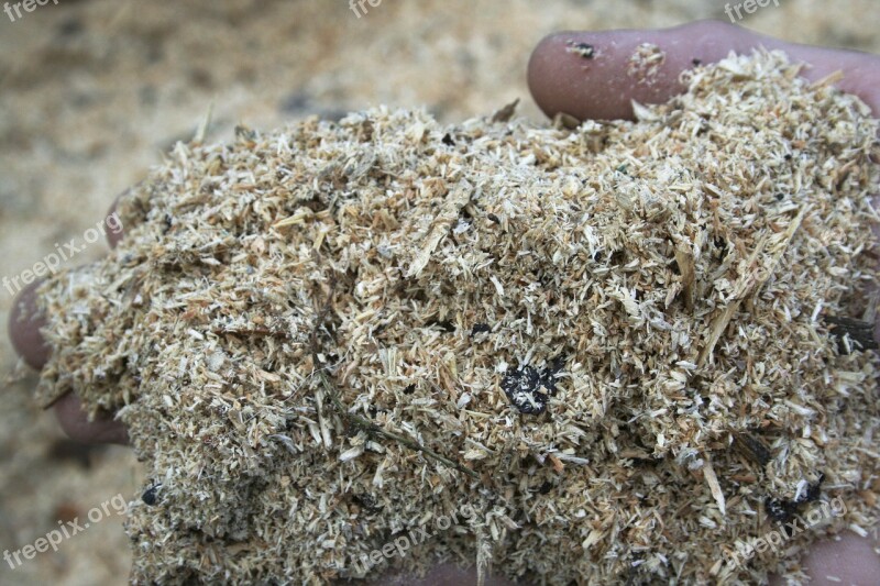 Sawdust The Hand Wood Shavings Waste