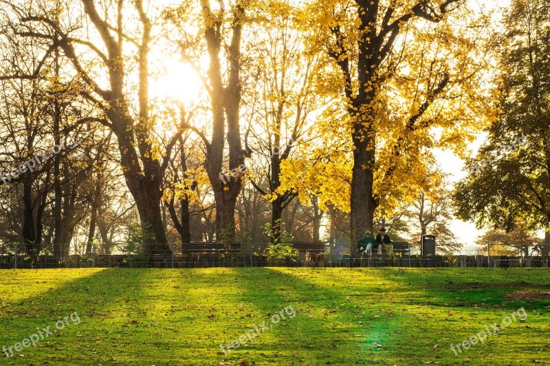 Sunset Autumn Nature Forest Mood