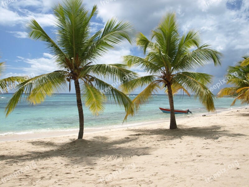 Nature Beach Caribbean Sand Palm Trees