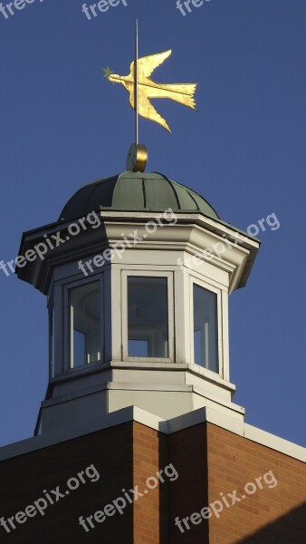 Weather Vane Cupola Roof Architecture Belfry