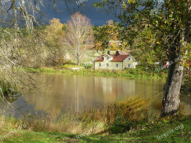 Autumn Tree Himmel House Water