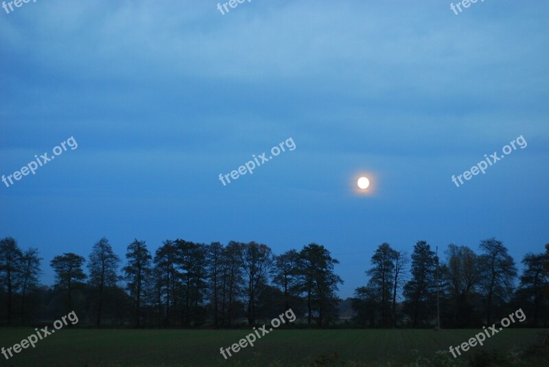 Nature Landscape Tree Scenery Poland