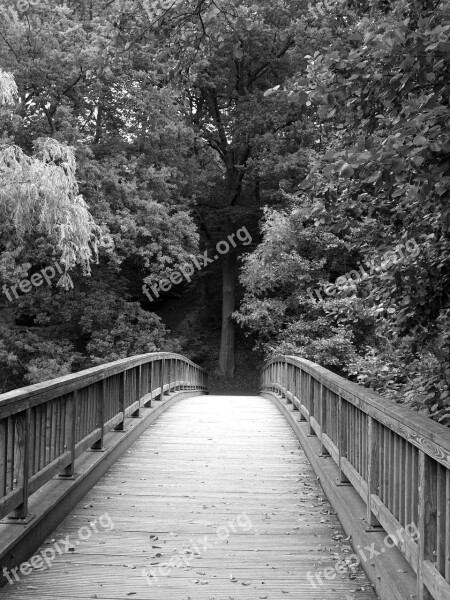 Bridge Transition Water Wood Away