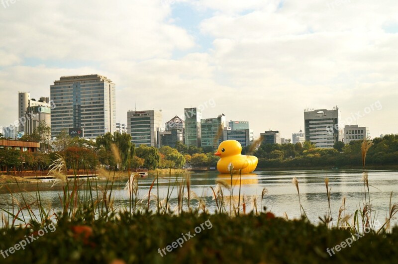 Rubber Duck Sky River Duck Landscape